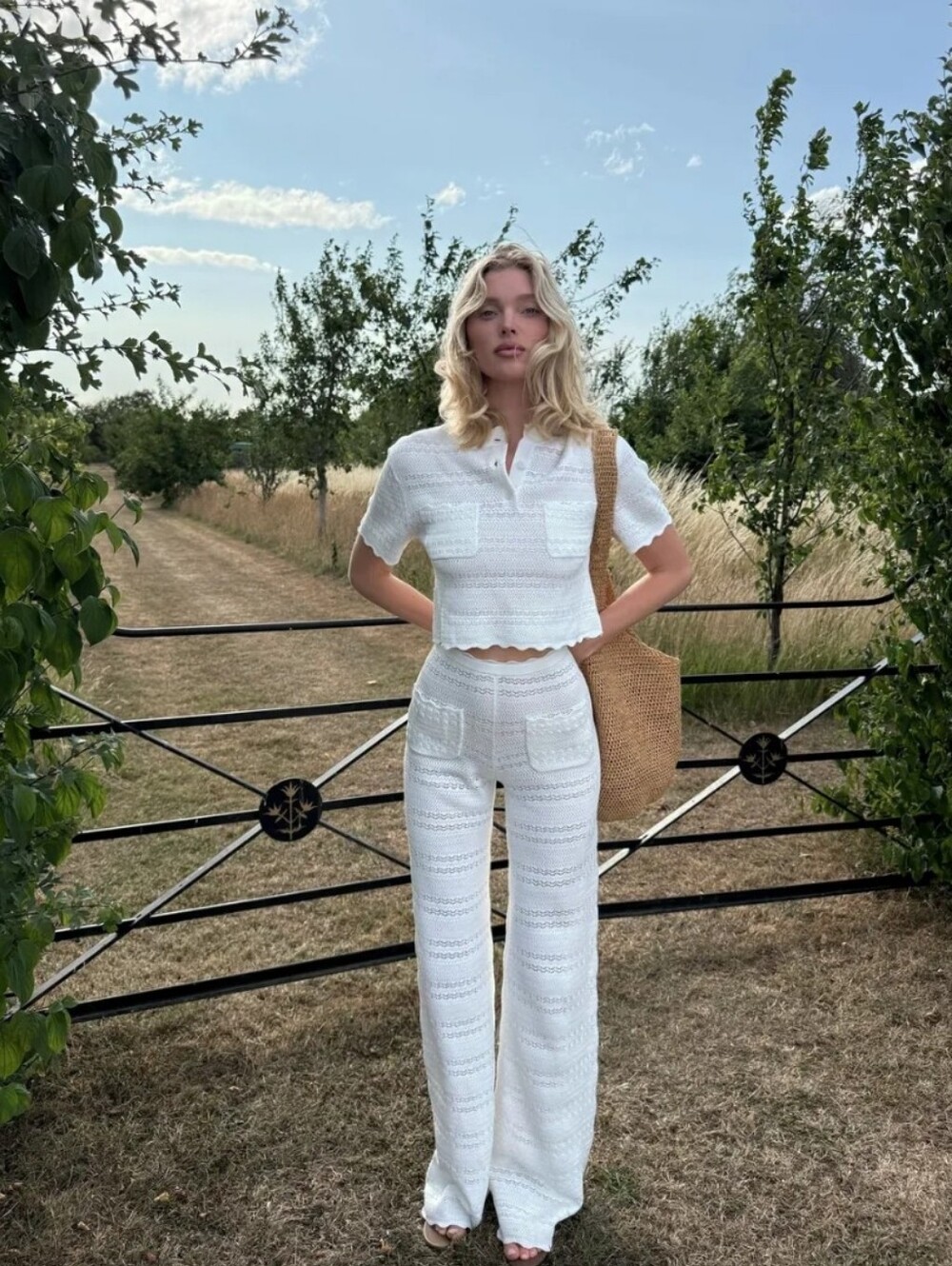Women's Top - Helsa White Crop Knitted Scalloped Top